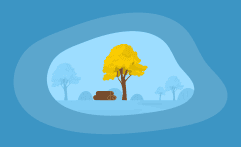 How Sustainable Is Ipe Wood? Here Are the Facts