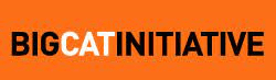 Logo for The Big Cats Initiative