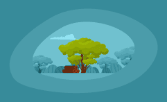 How Sustainable Is Acacia Wood? Here Are the Facts