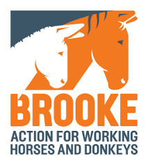 Brooke - logo Logo for Brooke