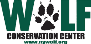 Wolf Conservation Center - logo Logo for Wolf Conservation Center