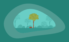 How Sustainable Is Cumaru Wood? Here Are the Facts