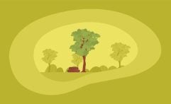 How Sustainable Is Meranti Wood? Here Are the Facts