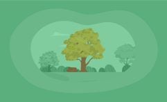 How Sustainable Is Tulipwood? Here Are the Facts