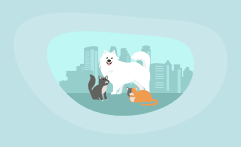 9 Best Charities to Adopt a Pet Animal (Complete 2025 List)