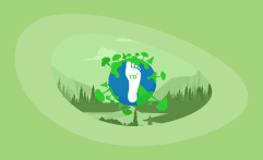 Can You Really Offset Your Carbon Footprint? Here Are the Facts