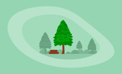 How Sustainable Is Thuya Wood? Here Are the Facts