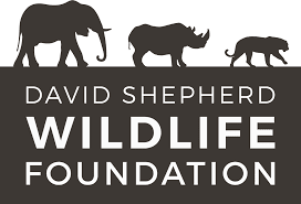 David Shepherd Wildlife Foundation - logo Logo for David Shepherd Wildlife Foundation