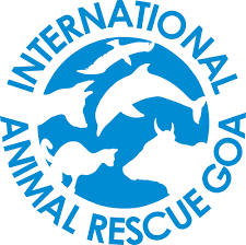 International Animal Rescue - logo Logo for International Animal Rescue