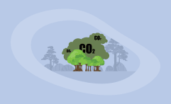 How Ethical Is Carbon Offsetting? Here’s the Big Picture