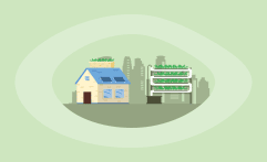 Urban Farming vs Vertical Farming: What’s the Difference?