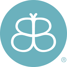Brave Beginnings - logo Logo for Brave Beginnings