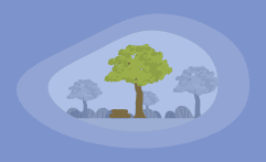 How Sustainable Is Batu Wood? Here Are the Facts