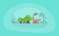14 Best Carbon Offsets for Businesses (Complete 2025 List)
