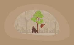 9 Best Charities for Protecting Apes (Complete 2025 List)