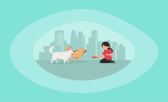 9 Best Charities for Helping Dogs in Need (Complete 2026 List)