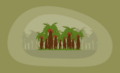 How Sustainable Is Palm Wood? Here Are the Facts