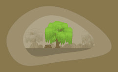 How Sustainable Is Willow Wood? Here Are the Facts