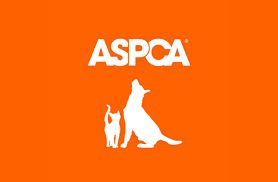 The American Society for the Prevention of Cruelty to Animals - logo Logo for The American Society for the Prevention of Cruelty to Animals