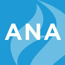 American Nurses Foundation - logo Logo for American Nurses Foundation