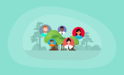 13 Best Carbon Offsets for Individuals (Complete 2026 List)