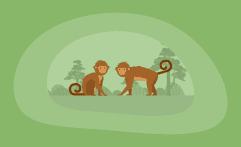 9 Best Charities for Protecting Monkeys (Complete 2025 List)