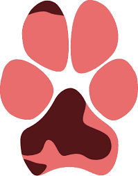 Dzyga’s Paw Charity Fund - logo Logo for Dzyga’s Paw Charity Fund