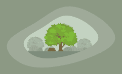 How Sustainable Is Elm Wood? Here Are the Facts