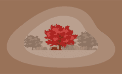How Sustainable Is Red Oak Wood? Here Are the Facts