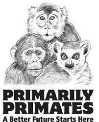 Primarily Primates - logo Logo for Primarily Primates