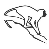 Vervet Monkey Foundation - logo Logo for Vervet Monkey Foundation