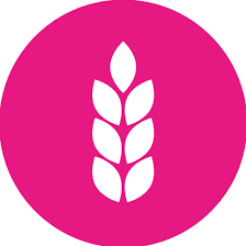 Logo for Charity Right