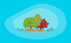 7 Most Sustainable Hardwoods: A Life-Cycle Analysis