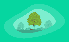 How Sustainable Is Basswood? Here Are the Facts
