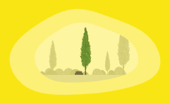 How Sustainable Is Cypress Wood? Here Are the Facts