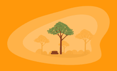 How Sustainable Is Sapele Wood? Here Are the Facts