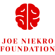The Joe Niekro Foundation - logo Logo for The Joe Niekro Foundation