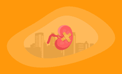 9 Best Charities That Fight Kidney Disease (Complete 2025 List)