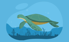 10 Best Charities for Protecting Sea Turtles (Complete 2025 List)