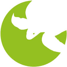 SEE Turtles - logo Logo for SEE Turtles