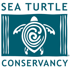 Sea Turtle Conservancy - logo Logo for Sea Turtle Conservancy