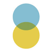 Global Rights for Women - logo Logo for Global Rights for Women