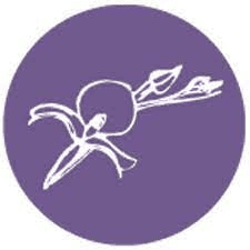 Orchid Project - logo Logo for Orchid Project