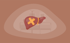 9 Best Charities That Combat Liver Diseases (Complete 2025 List)