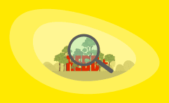 REDD+ Carbon Offsets Explained: All You Need to Know