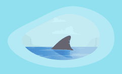 10 Best Charities for Protecting Sharks (Complete 2025 List)