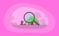 Reforestation Carbon Offsets Explained: All You Need to Know