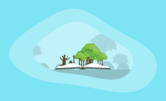 What Are Reforestation Carbon Offsets and How Do They Work: The Big Picture