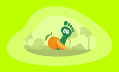What Is the Carbon Footprint of Oranges? A Life-Cycle Analysis