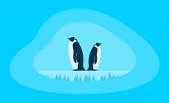 9 Best Charities for Protecting Penguins (Complete 2025 List)